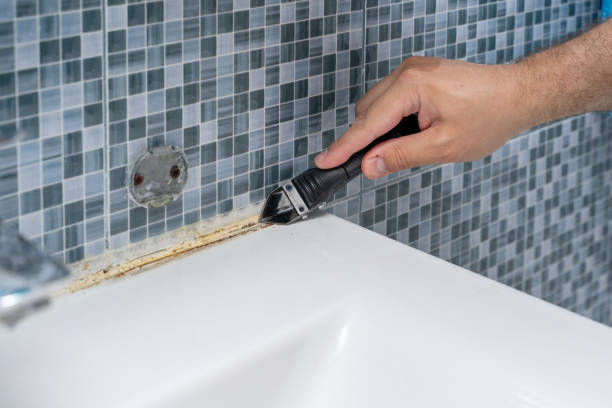 Best DIY Mold Remediation Support Services in Tremont, IL