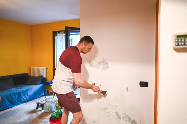 Best Localized Mold Remediation (e.g., coastal areas, humid climates) in Tremont, IL